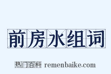 前房水组词是什么意思的图片